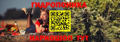 соль ск Кулебаки