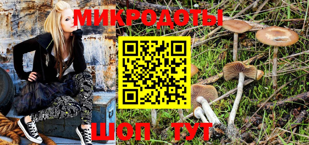 Йошкар-Ола  Галлюциногенные грибы Cubensis  купить наркотик  Вход с VPN 