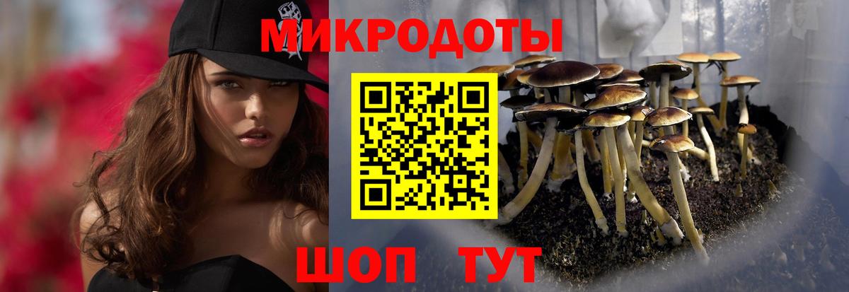 Галлюциногенные грибы Magic Shrooms Йошкар-Ола